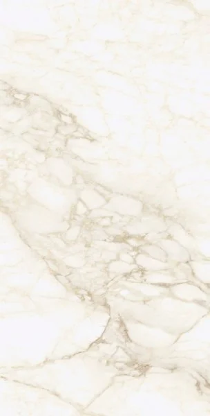 Керамогранит Coliseum Микеланджело Ворм 60х120 (Натуральный и Реттифицированный) в Каменске-Уральском