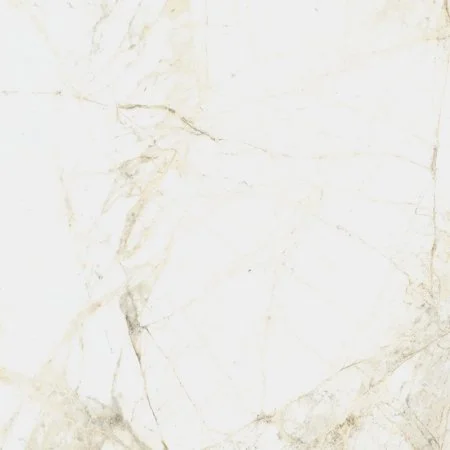 Керамогранит Coliseum Канова Уайт 60х60 (Натуральный и Реттифицированный) в Каменске-Уральском