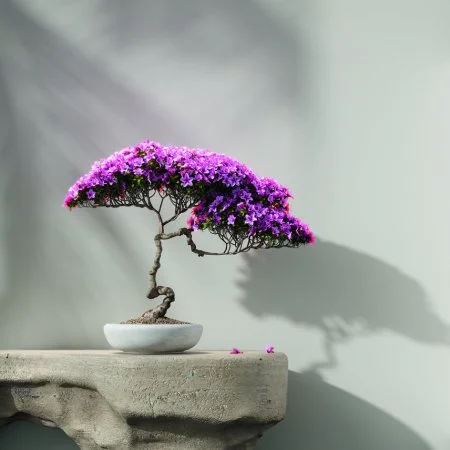 Обои Loymina Lotus LOT1 112 в Каменске-Уральском