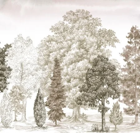 Обои Loymina Пейзаж vol. 2 ART14 012 в Каменске-Уральском