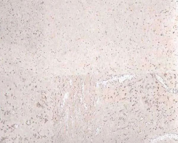 Настенное пробковое покрытие CorkArt PW 386 WS в Каменске-Уральском