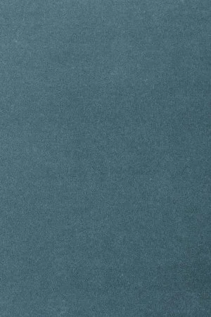 Ковровое покрытие AW Oinone 74 - (5м) в Каменске-Уральском