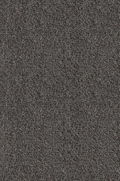 Ковровое покрытие AW Messalina 99 - (5м) в Каменске-Уральском