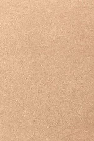 Ковровое покрытие AW Oinone 08 - (5м) в Каменске-Уральском