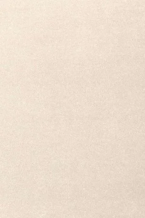 Ковровое покрытие AW Oinone 03 - (5м) в Каменске-Уральском