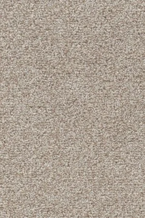 Ковровое покрытие AW Stainguard Harvest 04 - (4м) в Каменске-Уральском