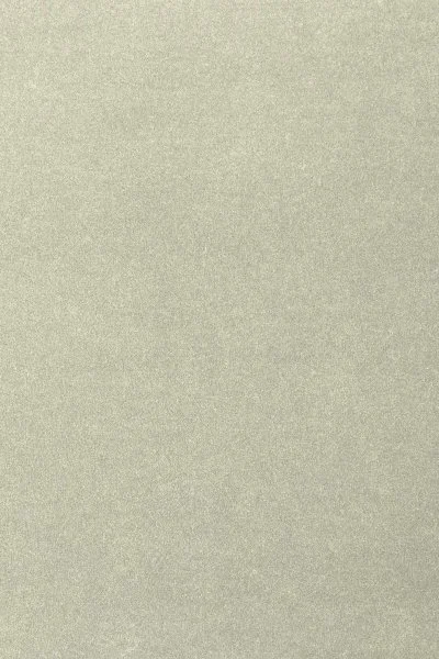 Ковровое покрытие AW Oinone 02 - (4м) в Каменске-Уральском