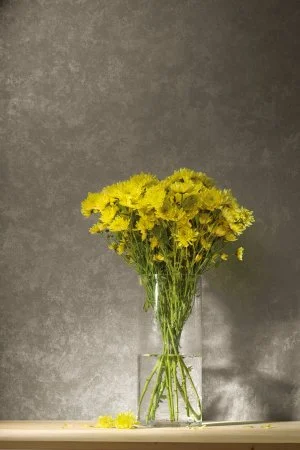 Обои Loymina Golden Library TDG 7, 008 в Каменске-Уральском