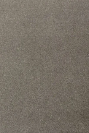 Ковровое покрытие AW Oinone 95 - (5м) в Каменске-Уральском