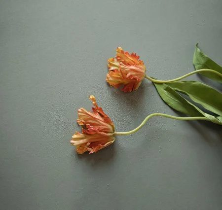 Обои Loymina Russian Classic Ru10, 006 в Каменске-Уральском