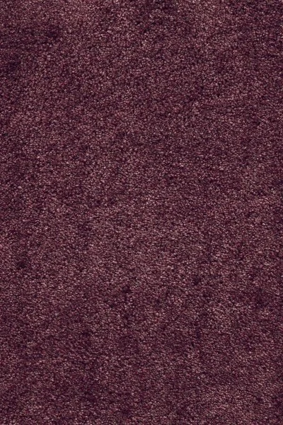 Ковровое покрытие AW Fedone 19 - (5м) в Каменске-Уральском