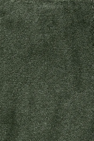 Ковровое покрытие AW Fedone 24 - (5м) в Каменске-Уральском