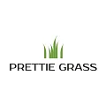 Искусственная трава Prettie Grass купить в Каменске-Уральском по выгодной цене Искусственная трава Prettie Grass в Каменске-Уральском