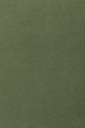 Ковровое покрытие AW Oinone 24 - (5м) в Каменске-Уральском