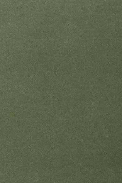 Ковровое покрытие AW Oinone 24 - (4м) в Каменске-Уральском