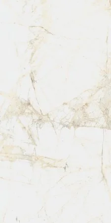 Керамогранит Coliseum Канова Уайт 60х120 (Натуральный и Реттифицированный) в Каменске-Уральском