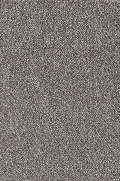 Ковровое покрытие AW Messalina 49 - (5м) в #REGION_NAME_DECLINE_PP#